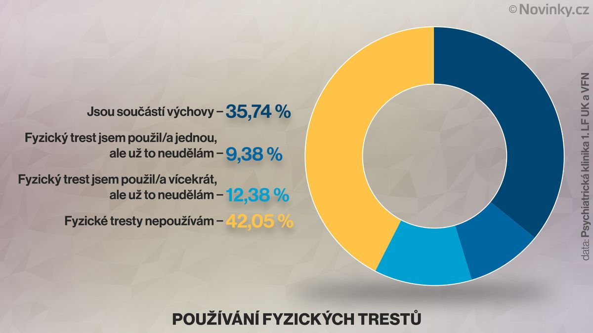 Téměř 58 procent českých rodičů používá či použilo fyzický trest